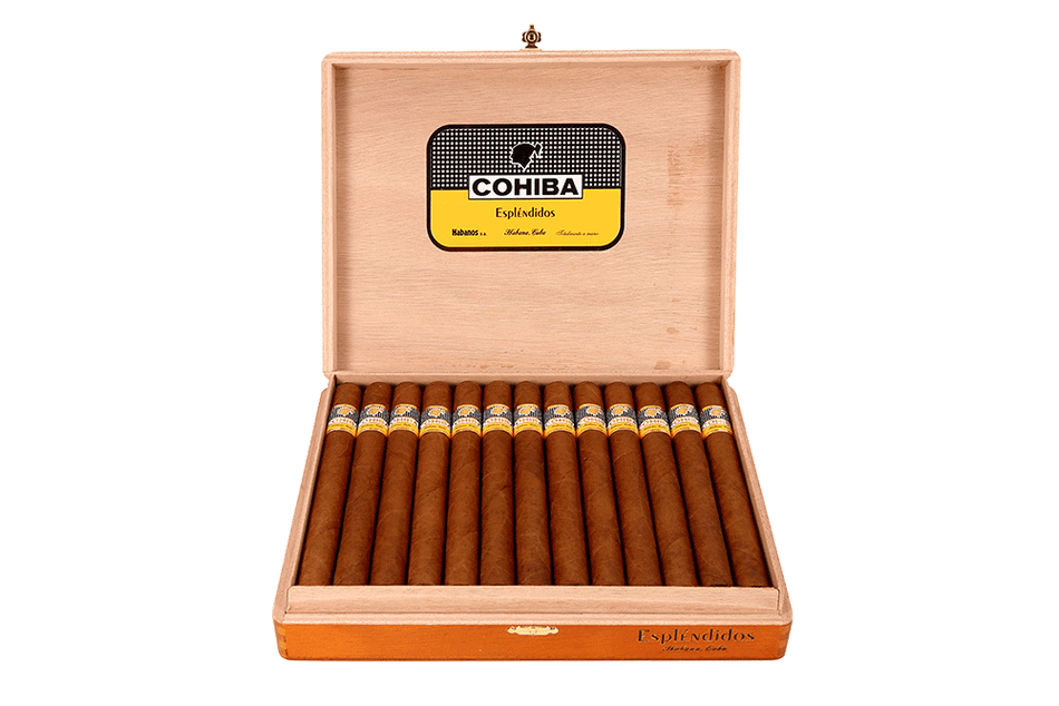 導師 Espléndidos(25)