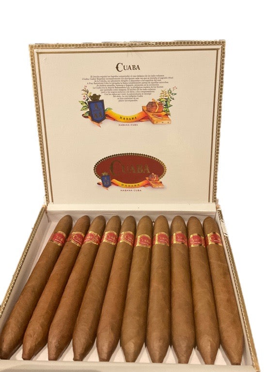 所羅門 Salomon （10）