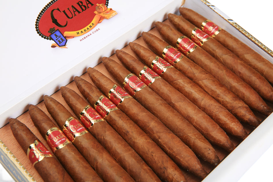 獨家 Exclusivos(25)