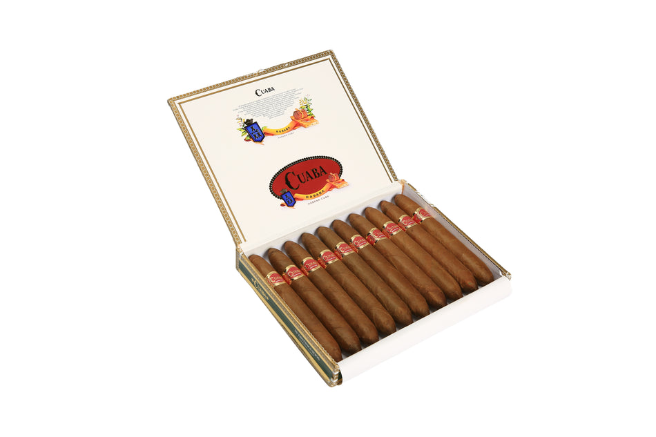 傑出 Distinguidos(10)