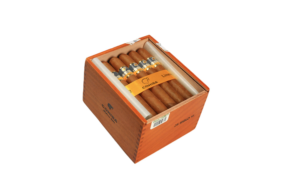 世紀系列6號 Siglo VI(25)